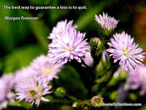 morgan_freeman_quotes Quotes 4